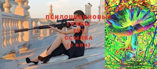 шишки Кулебаки