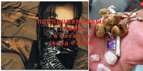 шишки Кулебаки